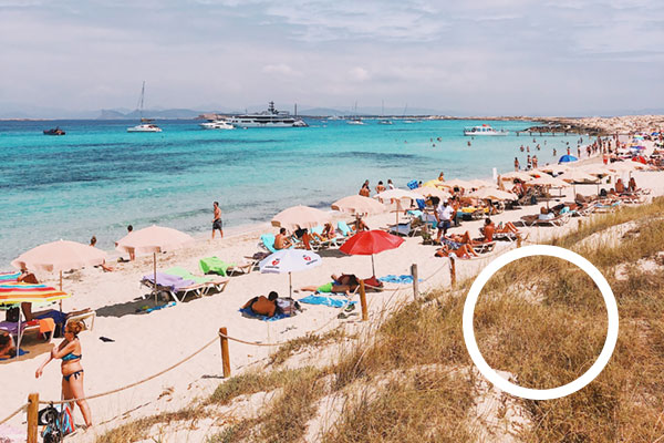 Ibiza and Formentera by sailboat